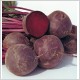 HOT SALE BEETROOT GOOD QUALITY/FRESH VEGETABLE/FRESH FRUIT FROM VIETNAM
