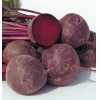 HOT SALE BEETROOT GOOD QUALITY/FRESH VEGETABLE/FRESH FRUIT FROM VIETNAM