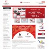 Web Design & Development, Ecommerce Web Designing along with SEO Services at Best Selling Price